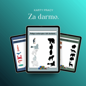 Zwierzęta - kontur.